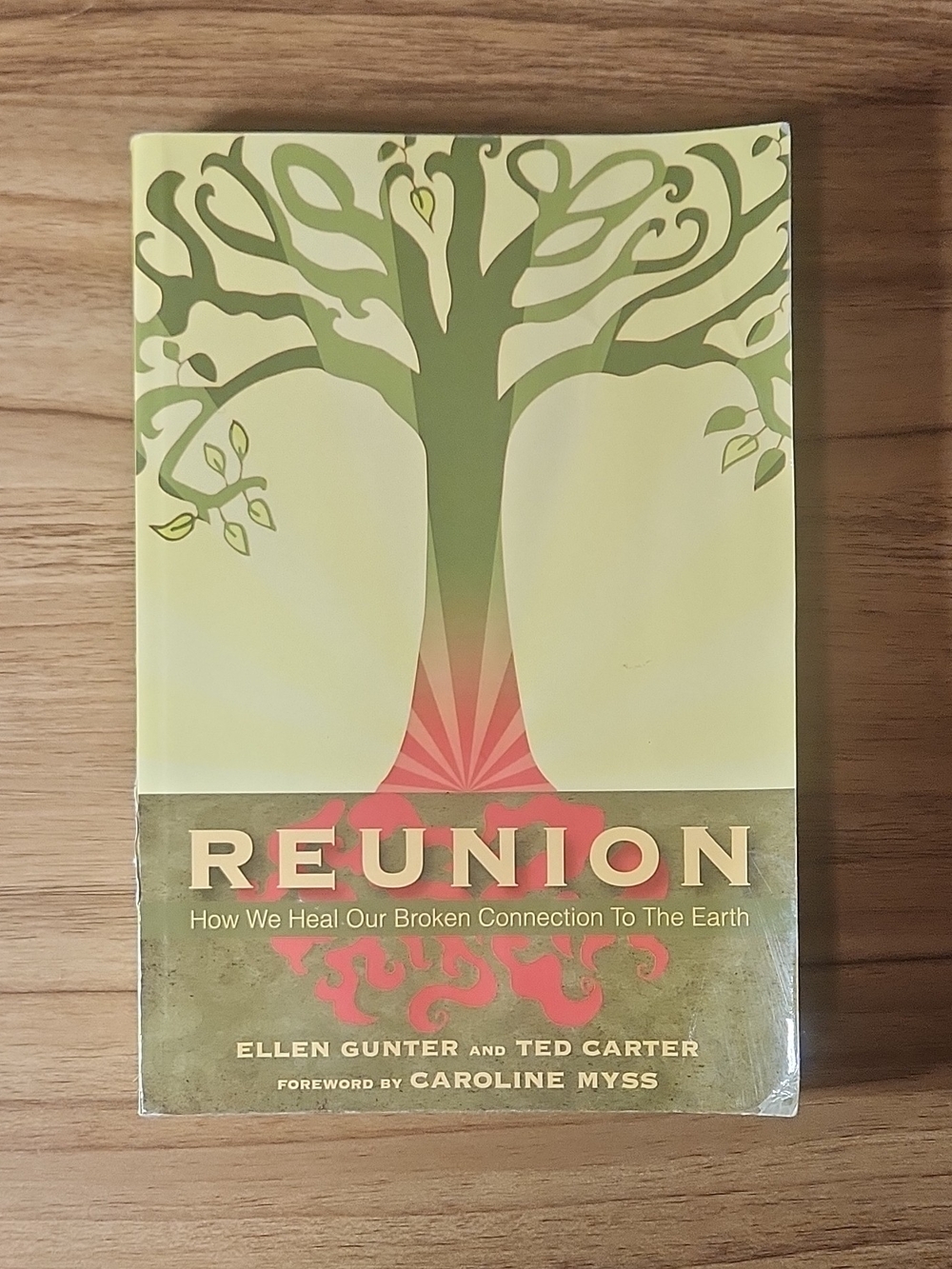 Reunion: How We Heal Our Broken Connection to the Earth Gunter & Carter PB